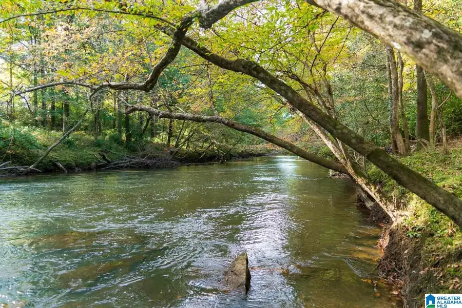 Lot 4 BLUEGRASS LANE, Jasper, AL 35503 - Image #2
