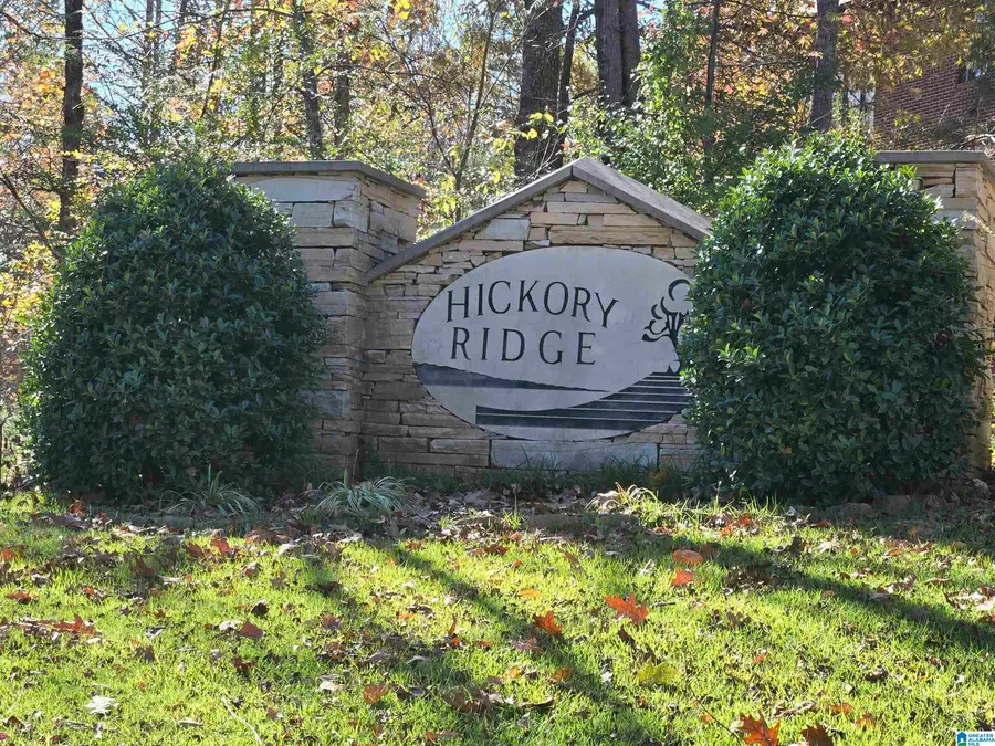 0 MAYNOR LANE, Oneonta, AL 35121 - Image #2