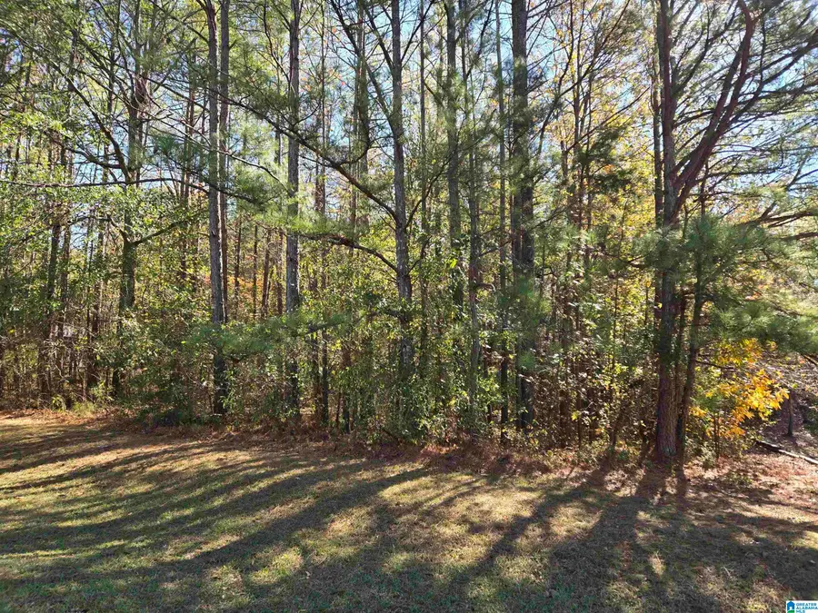 0 MAYNOR LANE, Oneonta, AL 35121 - Image #3