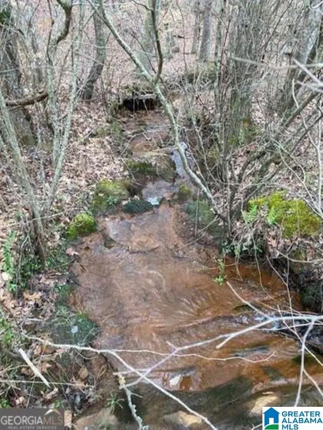 0 COUNTY ROAD 26, Wadley, AL 36276 - Image #1