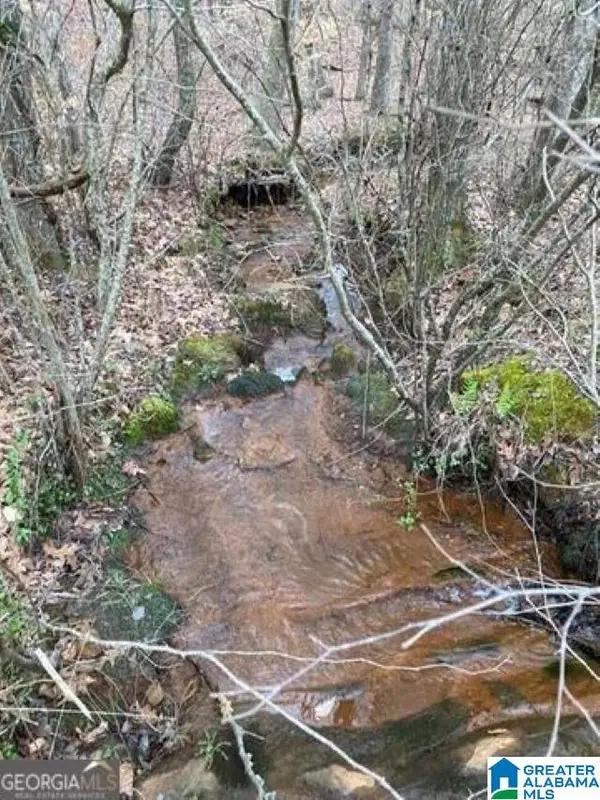 0 COUNTY ROAD 26, Wadley, AL 36276