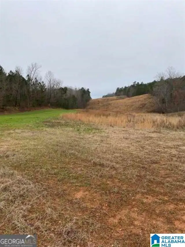 0 COUNTY ROAD 26, Wadley, AL 36276 - Image #3