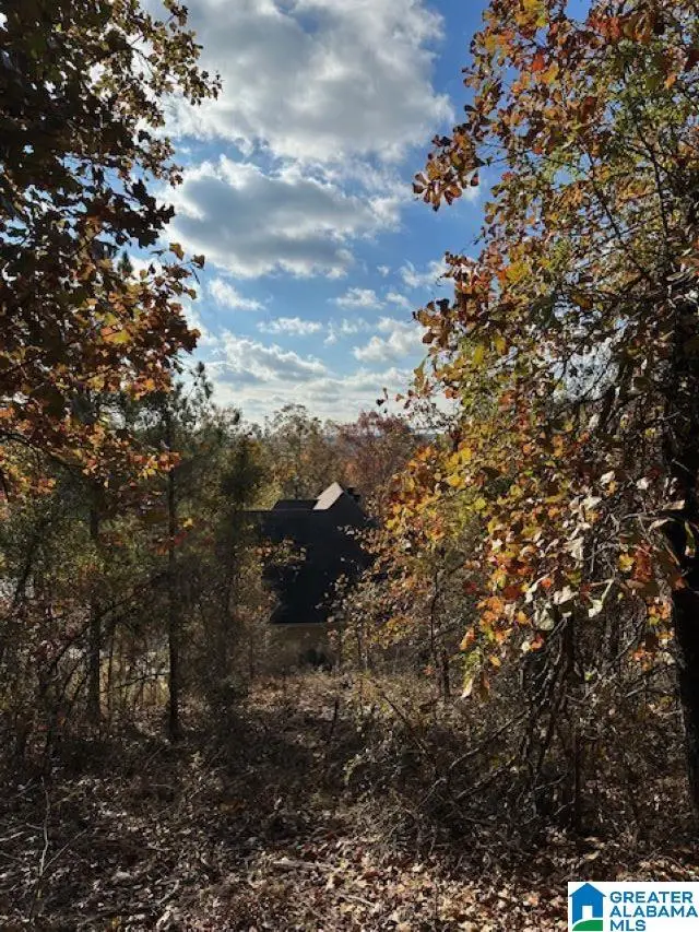 121 CREST DRIVE, Chelsea, AL 35043 - Image #2