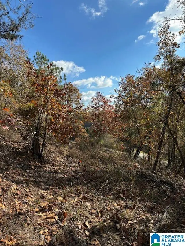 121 CREST DRIVE, Chelsea, AL 35043 - Image #3