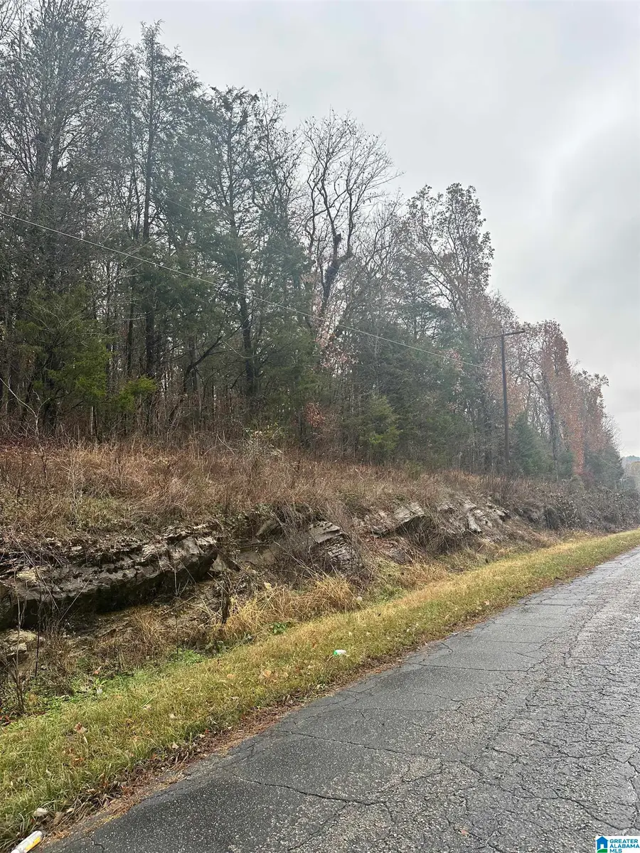 0 REMLAP DRIVE, Remlap, AL 35133 - Image #2