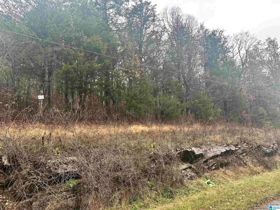 0 REMLAP DRIVE, Remlap, AL 35133 - Image #3