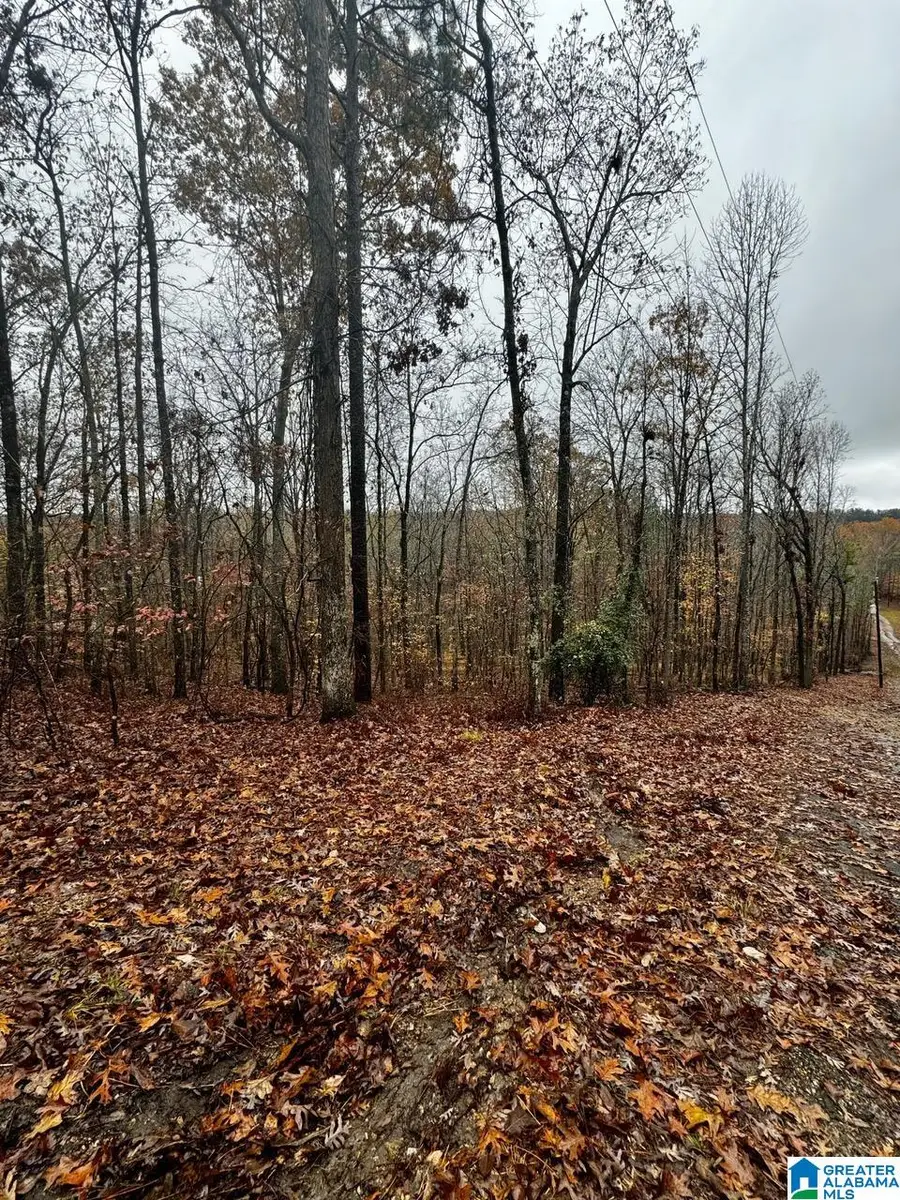 117 AMORE LANE, Chelsea, AL 35043 - Image #2