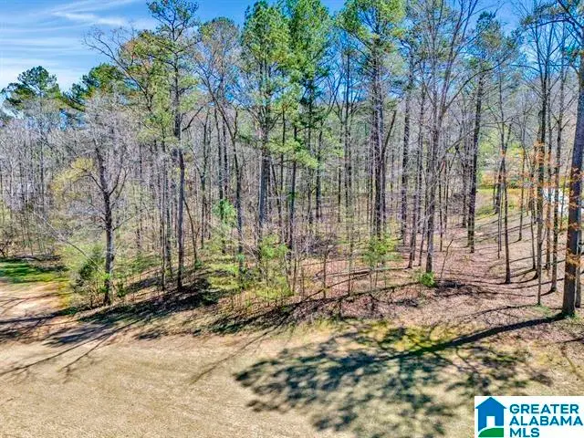 433 SAINT ANDREWS PARKWAY, Oneonta, AL 35121 - Image #1