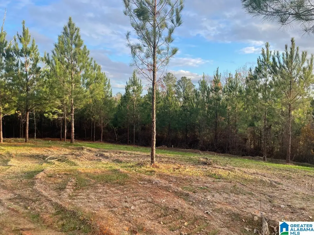 220 SADDLEWOOD TRAILS PARKWAY, Columbiana, AL 35051 - Image #1