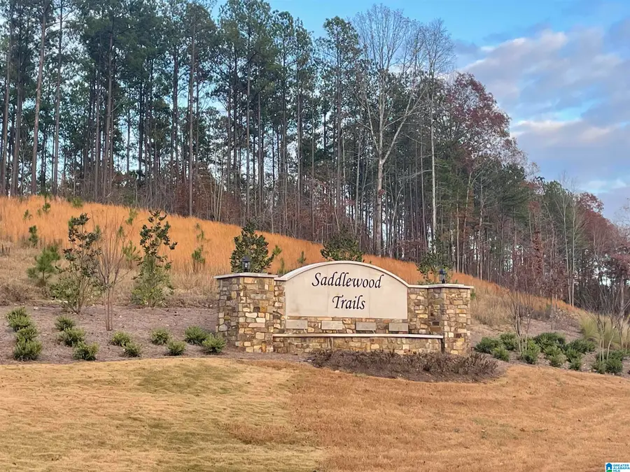 220 SADDLEWOOD TRAILS PARKWAY, Columbiana, AL 35051 - Image #2