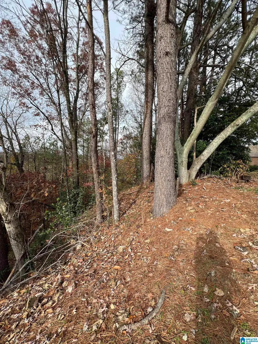 329 DELCRIS COURT, Homewood, AL 35226 - Image #2