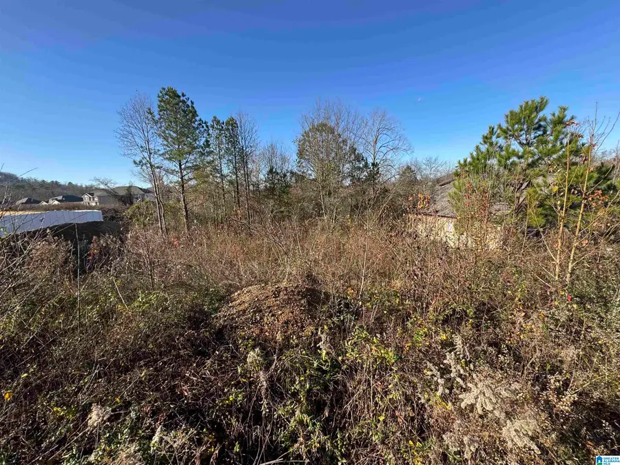 6422 CAMBRIDGE ROAD, Pinson, AL 35126 - #3