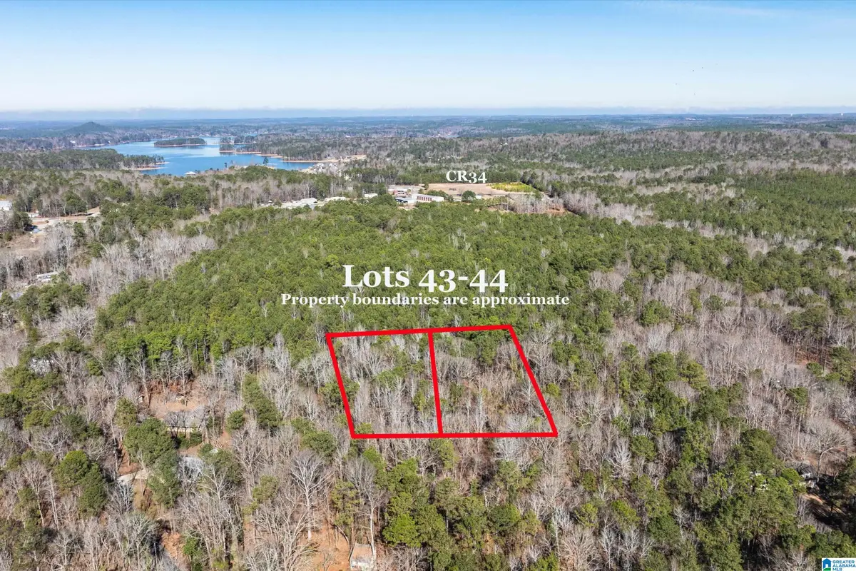 Lot 43 & 44 BEACH ISLAND TRACE, Dadeville, AL 36853 - Image #1