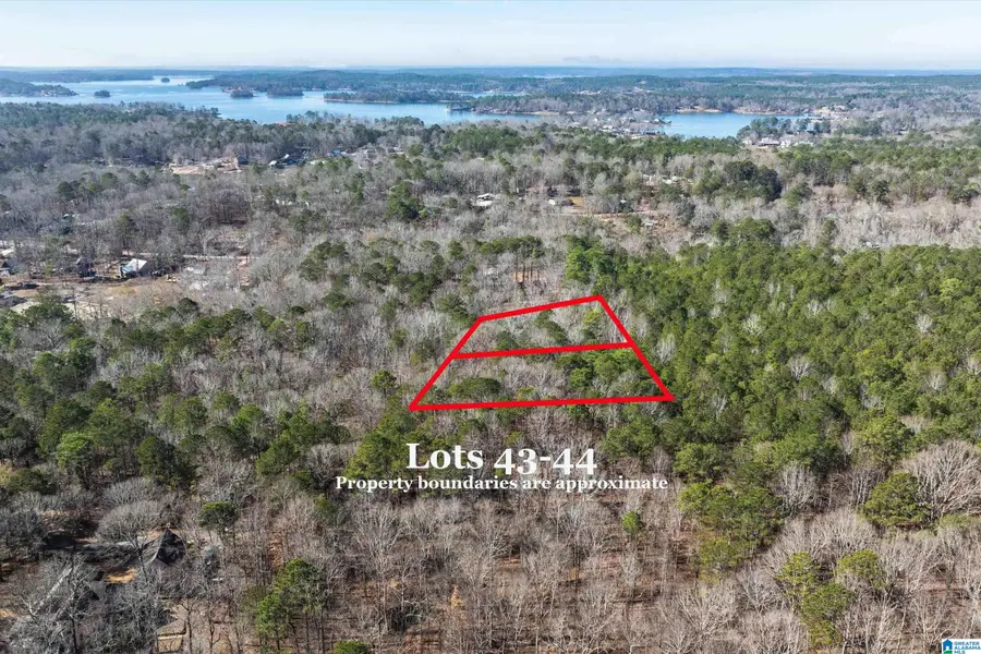 Lot 43 & 44 BEACH ISLAND TRACE, Dadeville, AL 36853 - Image #3