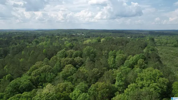 0 ARMSTRONG MTN LANE, Talladega, AL 35160