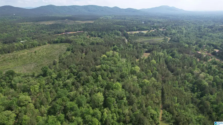 0 ARMSTRONG MTN LANE, Talladega, AL 35160 - Image #2