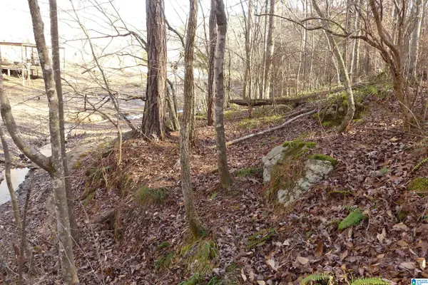 LOT 8 HARBOUR POINT DRIVE, Delta, AL 36258