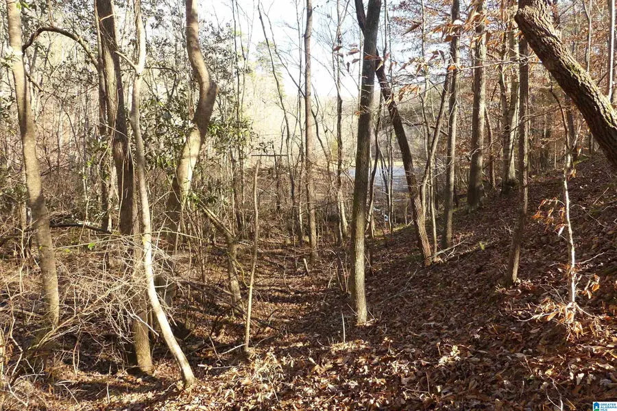 LOT 8 HARBOUR POINT DRIVE, Delta, AL 36258 - Image #2