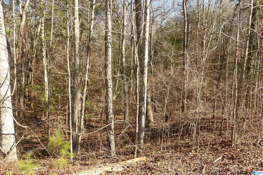 LOT 8 HARBOUR POINT DRIVE, Delta, AL 36258 - Image #3