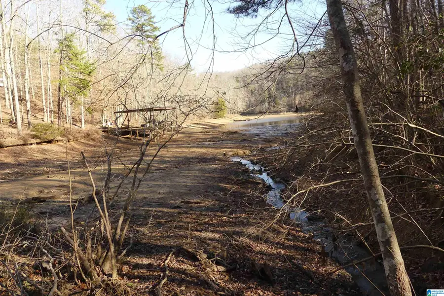 LOT # 9 HARBOUR POINT DRIVE, Delta, AL 36258 - Image #2