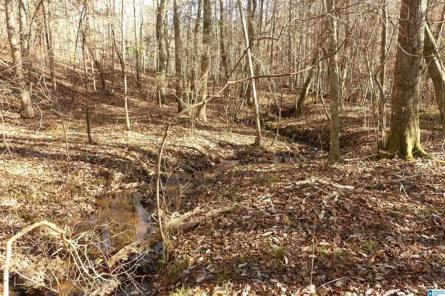 LOT # 9 HARBOUR POINT DRIVE, Delta, AL 36258 - Image #3