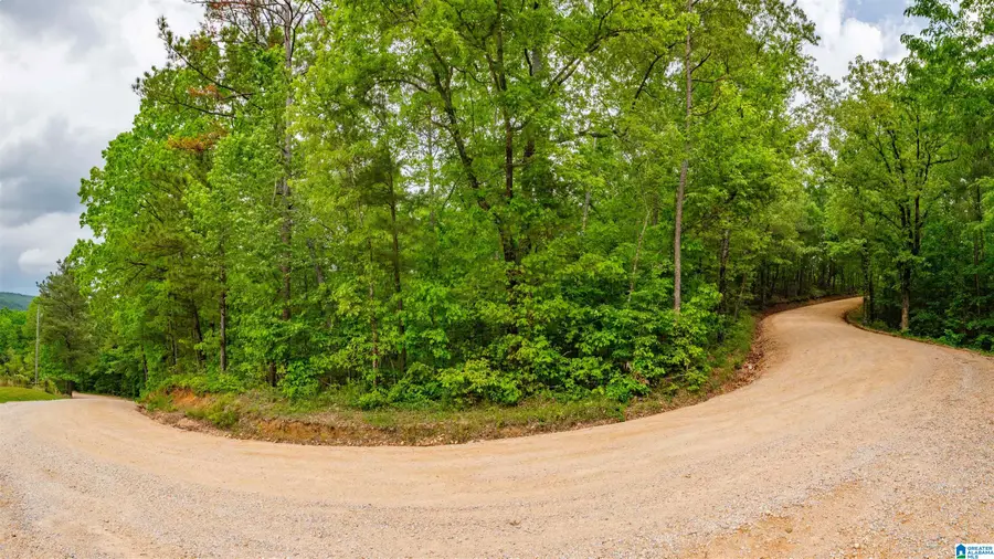 419 CROSS CREEK DRIVE, Sterrett, AL 35243 - Image #3