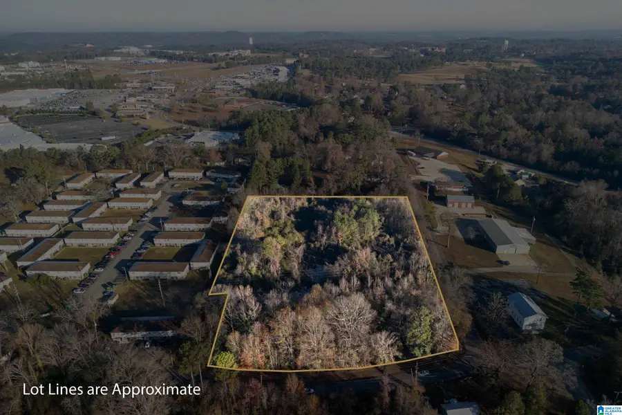 429 FLINT HILL ROAD, Bessemer, AL 35022 - Image #3