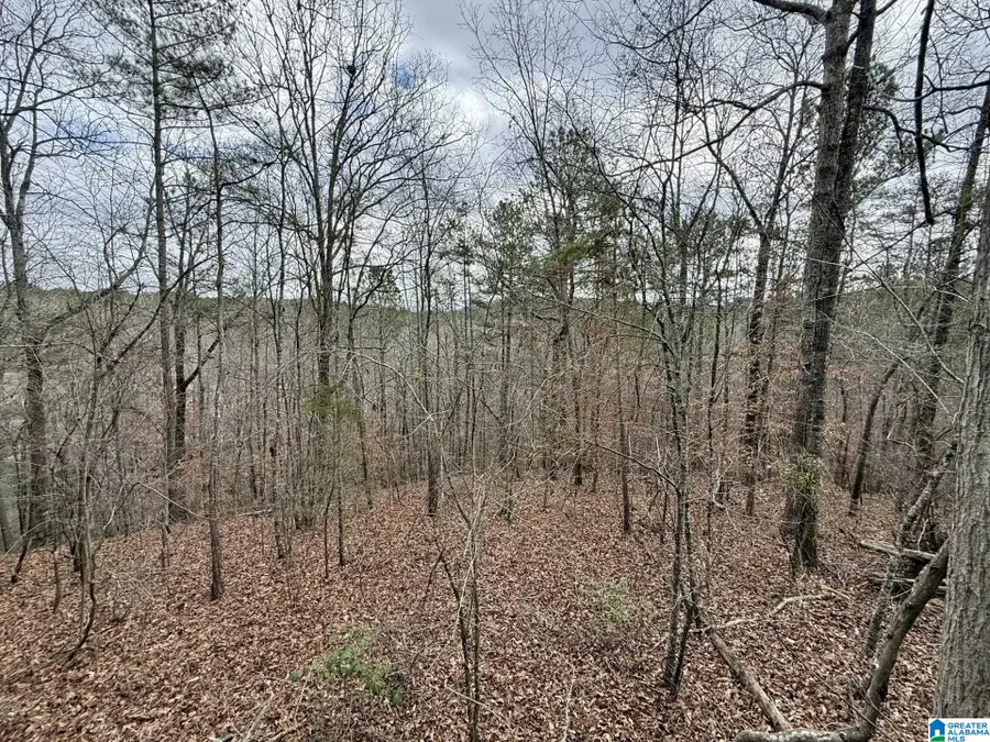 0 FOSTER HILLS DRIVE, Lineville, AL 36266 - Image #3