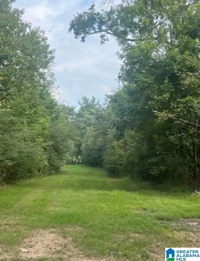 0 ONEAL DRIVE, Calera, AL 35040 - Image #1
