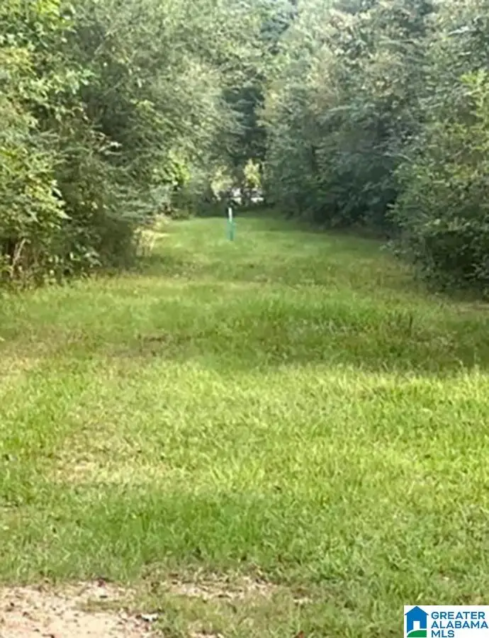 0 ONEAL DRIVE, Calera, AL 35040 - Image #2