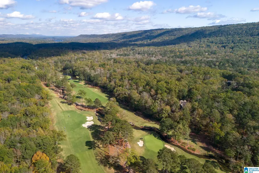 301 CARNOUSTIE, Shoal Creek, AL 35242 - Image #3