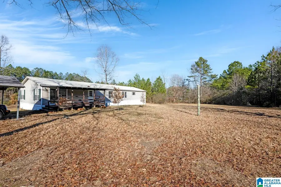 823 JOHN LIGHTSEY ROAD, Childersburg, AL 35044 - Image #3