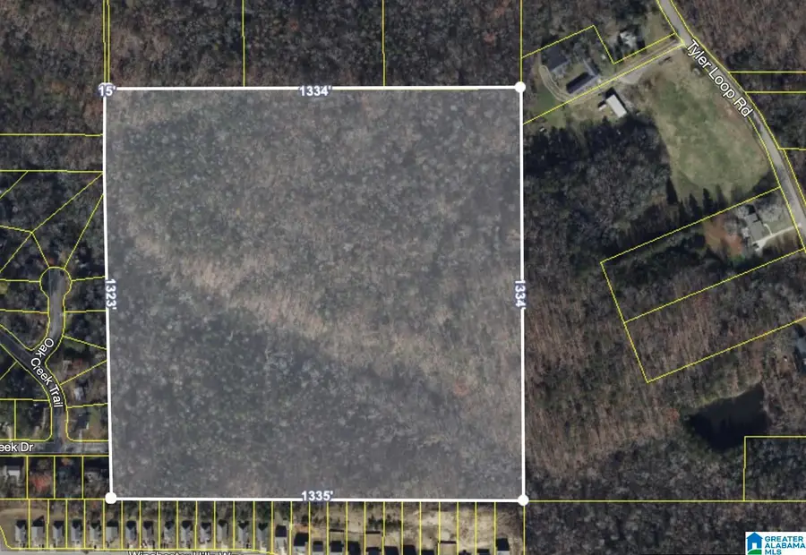 5442 TYLER LOOP ROAD, Pinson, AL 35126 - Image #2
