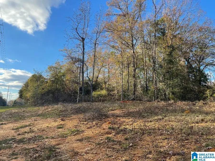 1935 HARGROVE ROAD E, Tuscaloosa, AL 35405 - Image #3