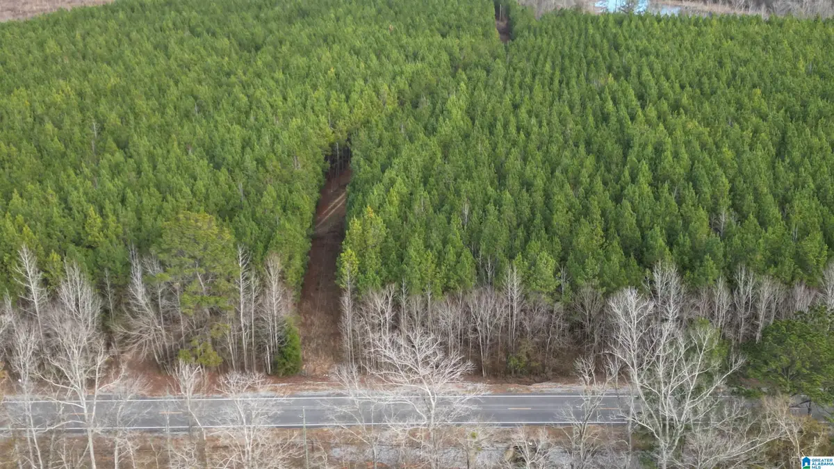 6342 SELMA ROAD, Centreville, AL 35042 - Image #1