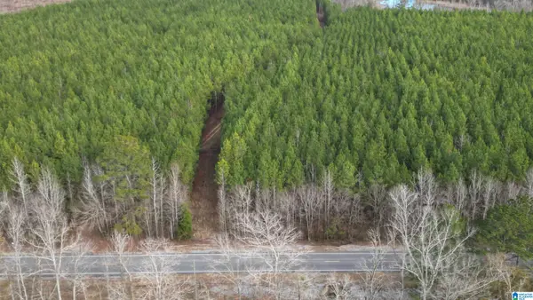 6342 SELMA ROAD, Centreville, AL 35042