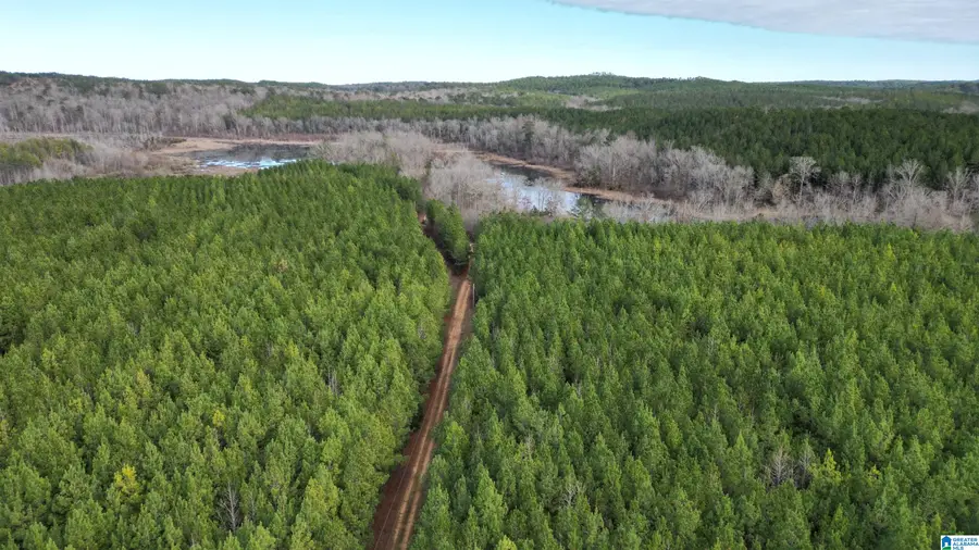 6342 SELMA ROAD, Centreville, AL 35042 - Image #2