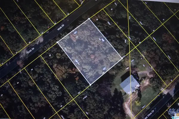 10 VICKI DRIVE, Lakeview, AL 35111