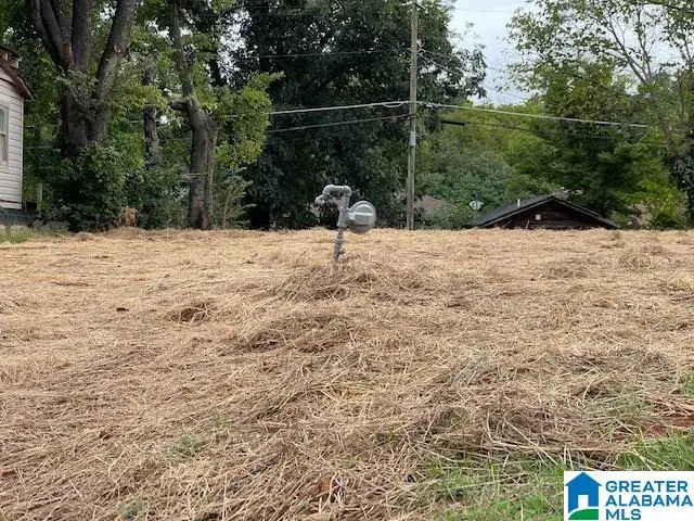 4731 TERRACE S, Birmingham, AL 35208 - Image #2