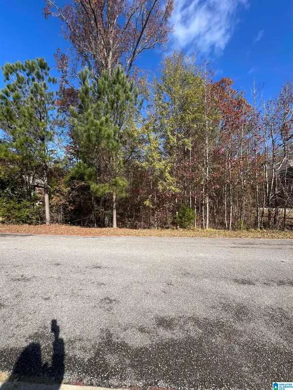 119 WALKING HORSE TRACE, Alabaster, AL 35007