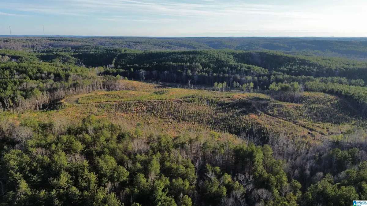 18924 BAMA ROCK GARDEN ROAD, Vance, AL 35490 - Image #1