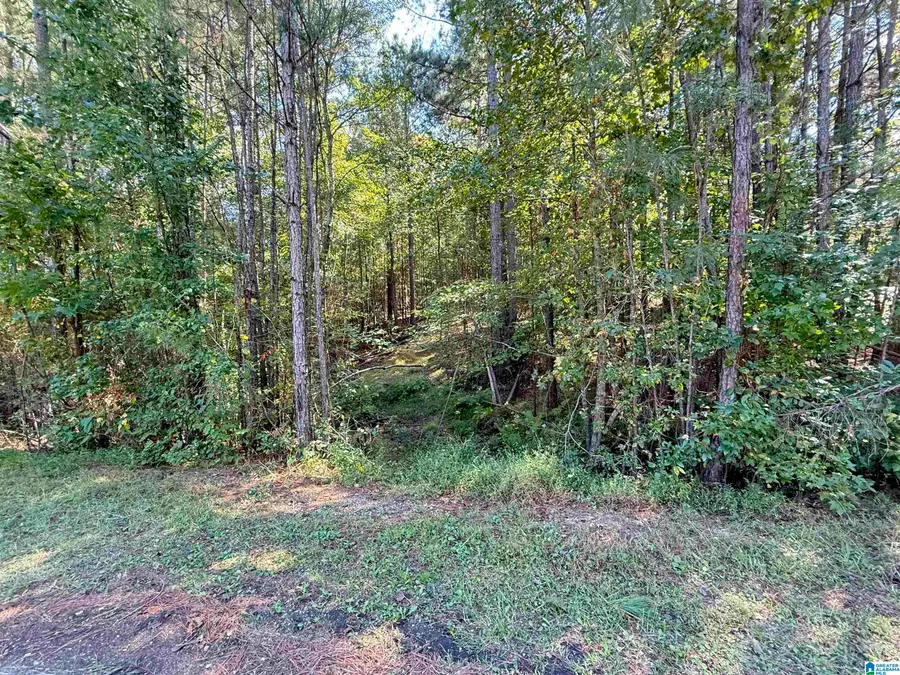 60 PARKWOOD LANE, Odenville, AL 35120 - #2