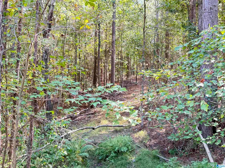 60 PARKWOOD LANE, Odenville, AL 35120 - #3
