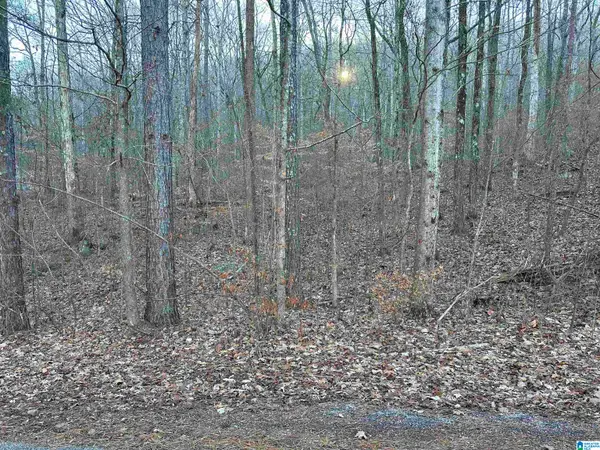 0 VALLEY LANE, Warrior, AL 35180