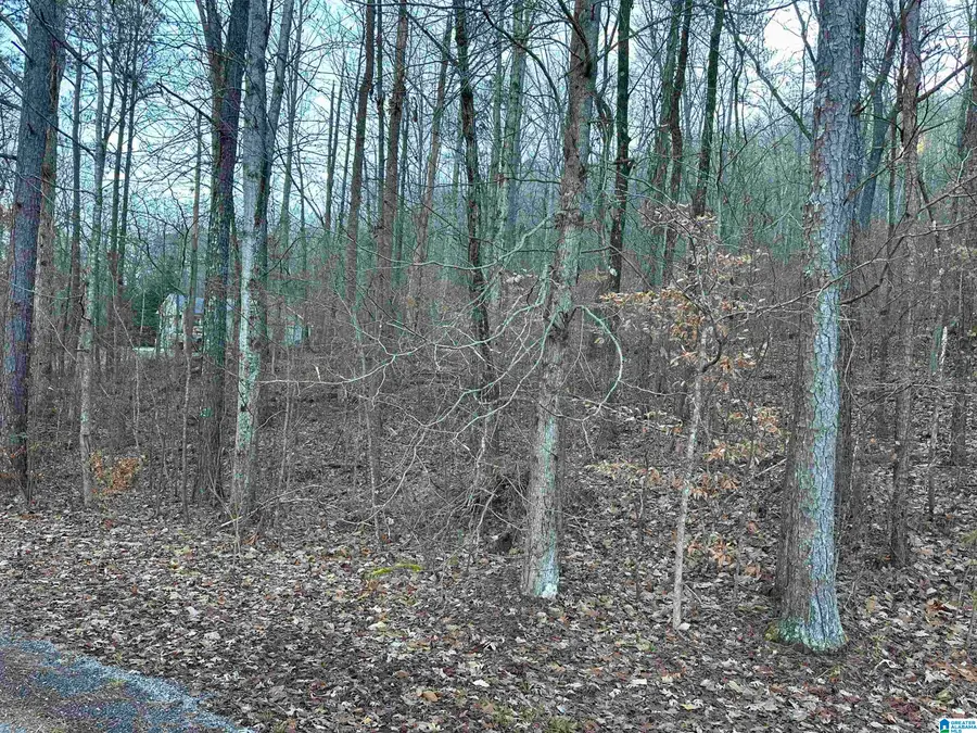 0 VALLEY LANE, Warrior, AL 35180 - Image #2