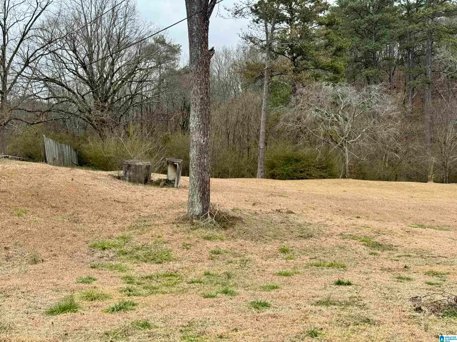 313 BELCHER HILL ROAD, Gardendale, AL 35071 - Image #2