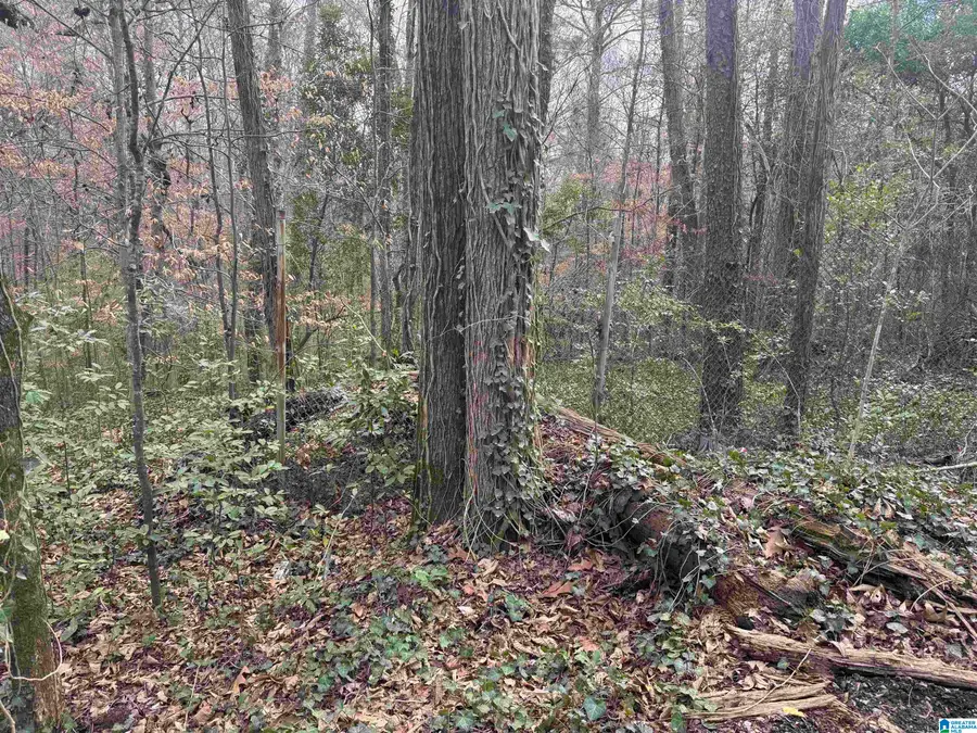 2427 ELM STREET, Birmingham, AL 35127 - Image #2