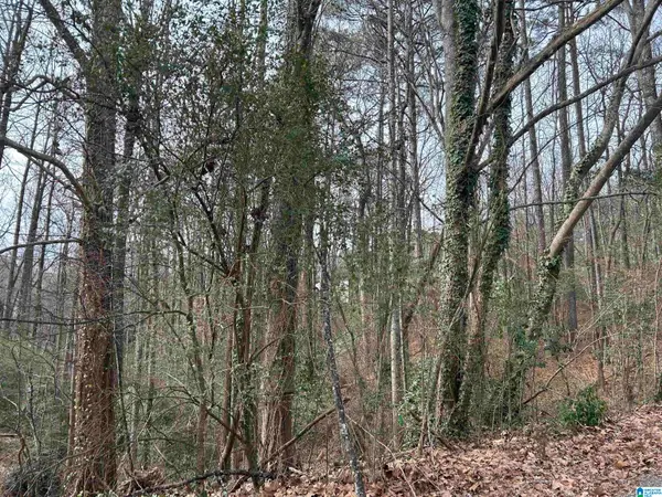 5455 VICKSBURG CIRCLE, Birmingham, AL 35210