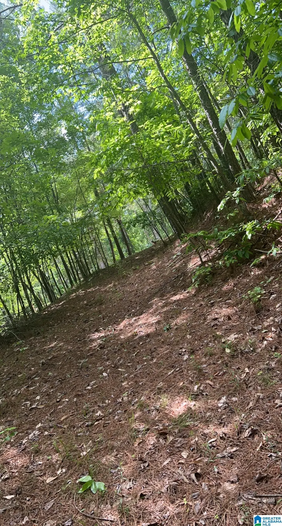 DEER DRIVE, Quinton, AL 35130 - Image #2