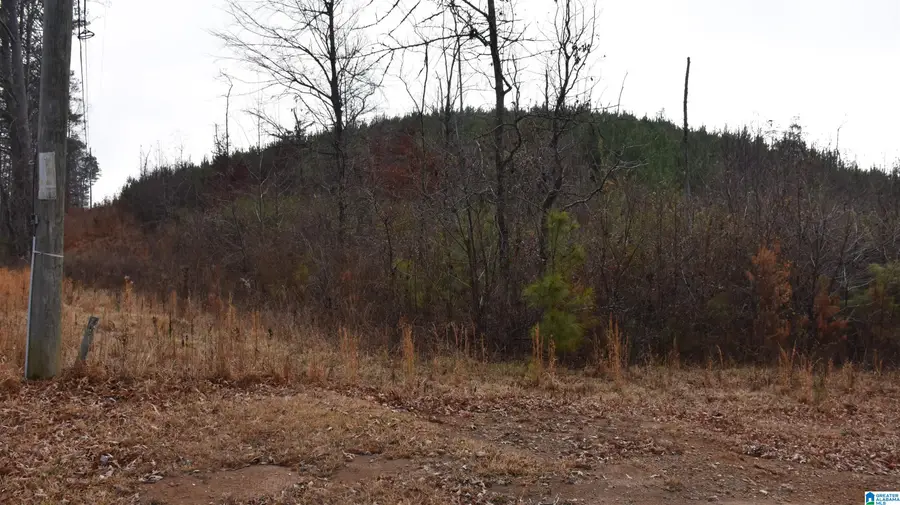 RENFROE ROAD, Talladega, AL 35160 - Image #2